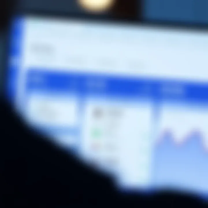 Online platform interface showing loan options and financial details