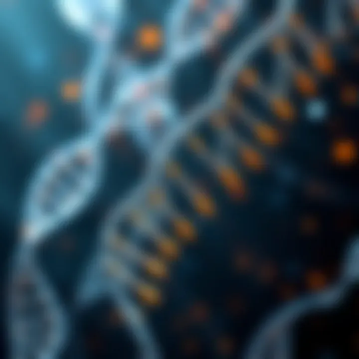Todo sobre el ADN y los corredores genéticos Todo sobre el ADN y los corredores genéticos